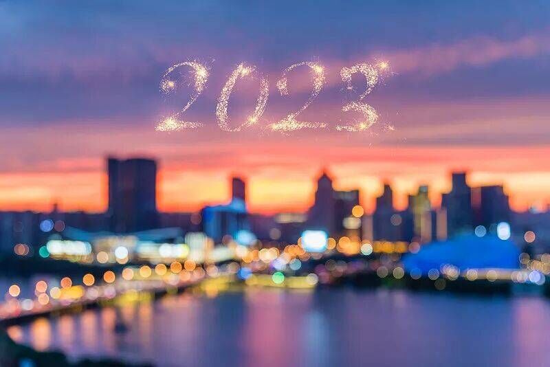 C733