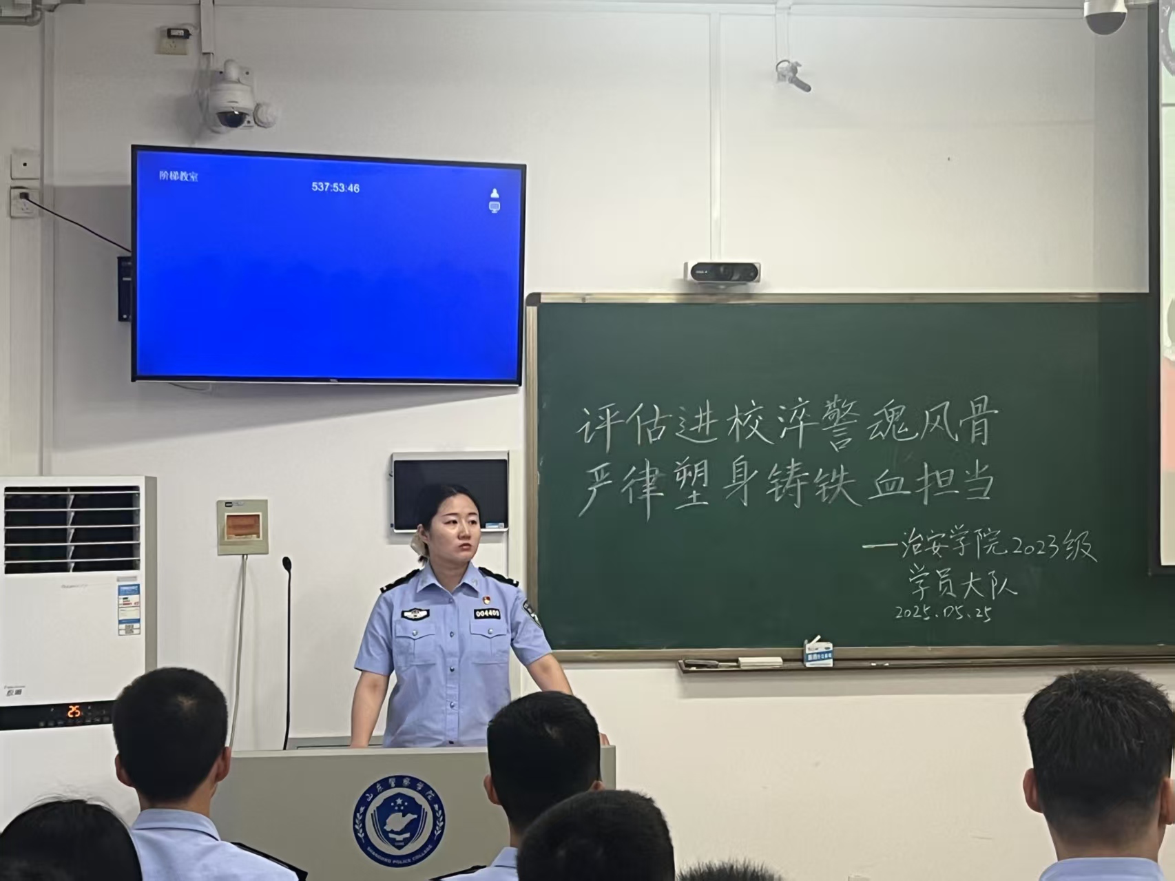 6033A
